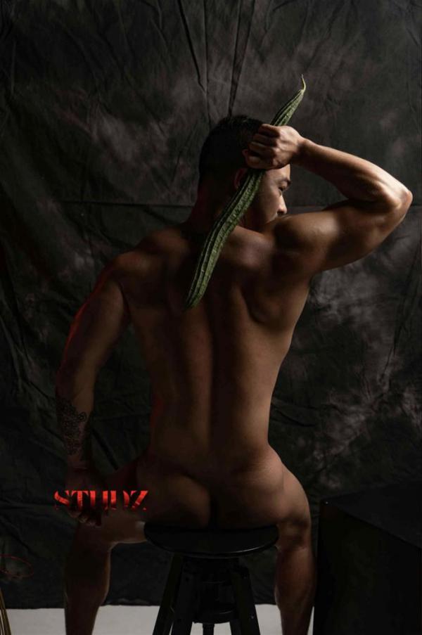 STUDZ-01--Zesty--Ebook--Video-